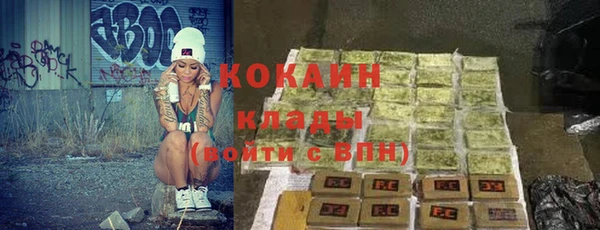 ECSTASY Алзамай