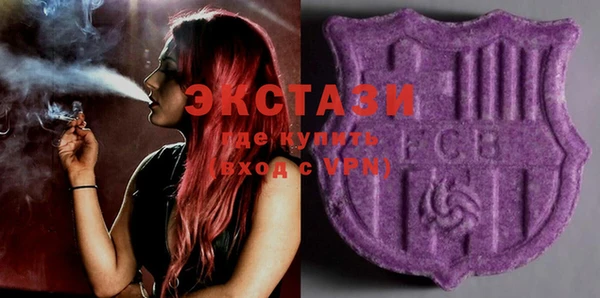 ECSTASY Алзамай