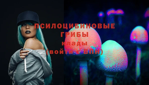 эйфоретик Алексин