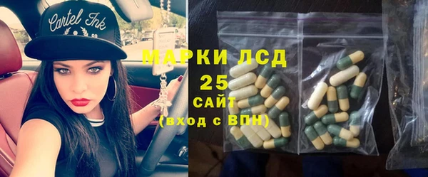 ECSTASY Алзамай
