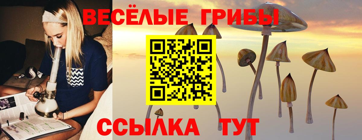 Галлюциногенные грибы GOLDEN TEACHER Петровск